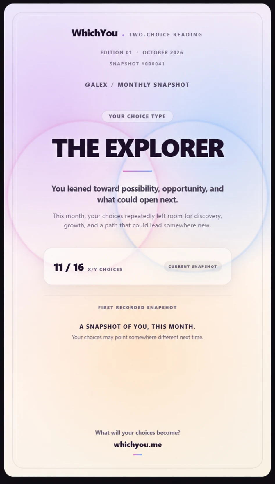 Example current WhichYou monthly snapshot
